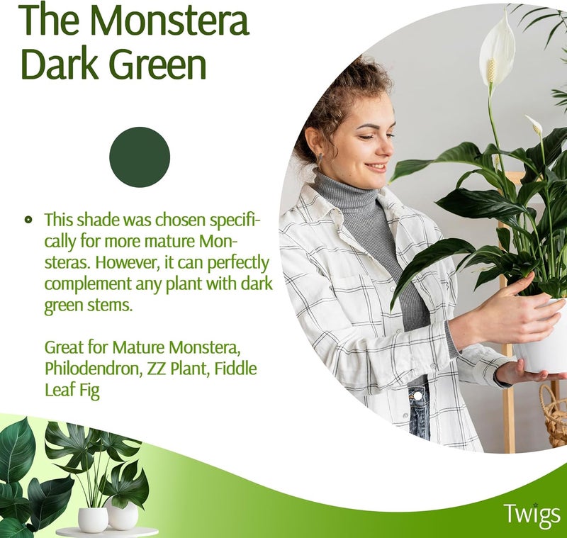 Twigs Ga Plant Support Stakes for Indoor & Outdoor Use, Durable Trellis Alternative for Climbing & Potted Plants, Houseplant Stem Holder Structures - Monstera (Dark Green), 10 Pack, 22" L, Original - Image 4